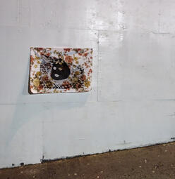 Untitled Untitled